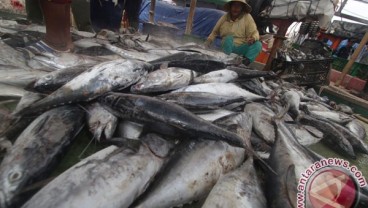 PEMASARAN PERIKANAN : Pasar Ikan Palembang Segera Terwujud