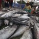 PEMASARAN PERIKANAN : Pasar Ikan Palembang Segera Terwujud