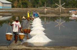 Produksi Garam Jatim Belum Pulih