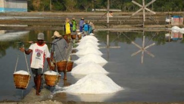 Produksi Garam Jatim Belum Pulih