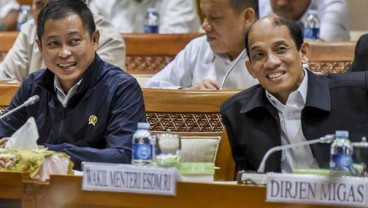 NEGOSIASI DIVESTASI FREEPORT  : Babak Tambahan dalam Tiga Bulan