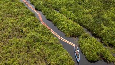 Ketahuan, Cukong Kayu Ilegal Ini Bisa Kabur ke Luar Negeri