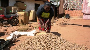 Ada Vampir di Malawi Selatan? Warga Resah, Rusuh, 5 Orang Tewas dan PBB Tarik Staf