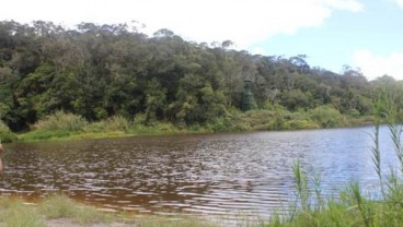 Permukaan Danau Tambing Naik 10 Meter