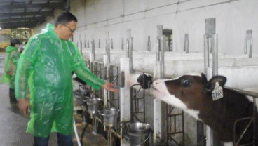 Greenfield Mulai Mengoperasionalkan Farm Kedua di Blitar