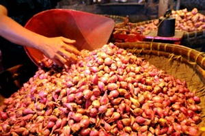 Produksi Bawang Merah Lampaui Target Produksi