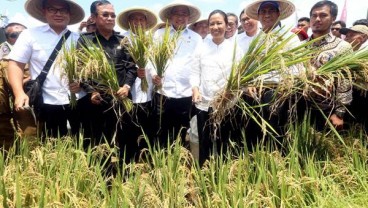 Kartu Tani Permudah Petani Dapat KUR