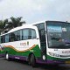Eka Sari Lorena (LRNA) Tambah 50 Bus AKAP