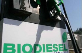 BAHAN BAKAR NABATI : Kebijakan Biodiesel Banyak Kendala