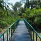 Jembatan Gantung Putus, Puluhan Pelajar Jatuh ke Sungai Sedalam 5 Meter