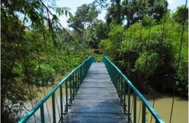 Jembatan Gantung Putus, Puluhan Pelajar Jatuh ke Sungai Sedalam 5 Meter