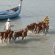 UMM Mendorong Nelayan Pulau Sapeken Mengembangkan Ekonomi Hijau