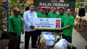 Dana Zakat Pegawai OJK Disalurkan Untuk Peternak di Bekasi