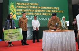 BRI Mendukung Pembiayaan Penanaman Kembali Kebun Sawit