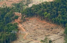 SPSI Riau Minta Kemen LHK Patuhi Putusan MA