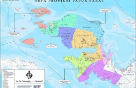 Belasan Daerah di Papua Barat Endemis Malaria