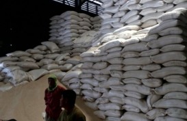 Masuk Musim Paceklik, Stok Beras di Jateng Turun 22,7%