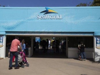 SeaWorld Pangkas 350 Posisi Pekerjaan, Ini yang Terancam Terdepak