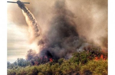 Hutan Terbakar dan 100 Orang Tewas, Mendagri Portugal Mundur