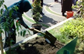 Sebanyak 634.000 Hektare Lahan di Provinsi Jateng Kritis