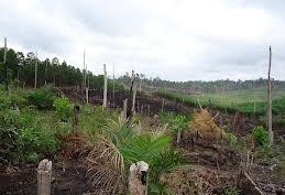 AKSI PEKERJA RAPP: 2.000 Aparat Gabungan di Riau Siap Mengamankan