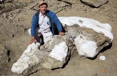 Arkeolog Temukan Fosil Utuh Tiranosaurus di AS