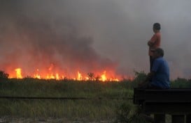 Titik Api di Aceh Melonjak Drastis