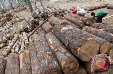 Industri Pengolahan Kayu di Temanggung Lesu, Ini Alasannya