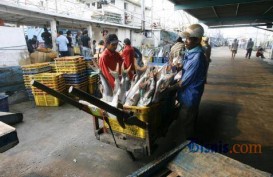 Sering Tolak Seafood Indonesia, Ini Parameter yang Dipakai AS