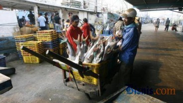 Sering Tolak Seafood Indonesia, Ini Parameter yang Dipakai AS