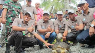 Pertamina EP Dukung Konservasi Tuntong Laut Lewat Rumah Informasi  