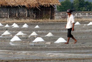 Hujan Hambat Produksi Garam di Sidoarjo