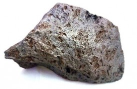 Batu Berusia 4 Miliar Tahun Laku Dilelang Rp251,6 Juta