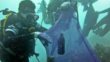 Kemenko Maritim Ajak Pemuda Atasi Sampah di Laut