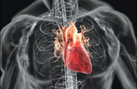 Golongan Darah Bisa Menambah Risiko Serangan Jantung?