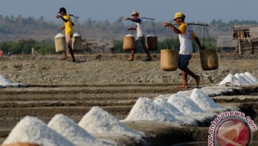 Produksi Garam Rakyat di Sumenep Mencapai 49.640 Ton