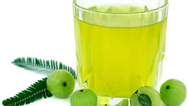 9 Manfaat Mengonsumsi Buah Amla