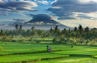 Ubud Siapkan Lahan 7 Ha untuk Parkir Mobil