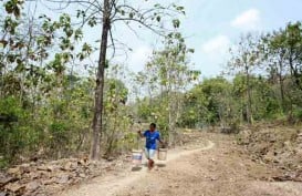 Sejumlah Wilayah di NTT Kekeringan Ekstrem