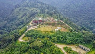 Panda Raksasa Taman Safari Siap Menyapa Warga Indonesia Bulan Ini