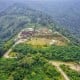 Panda Raksasa Taman Safari Siap Menyapa Warga Indonesia Bulan Ini