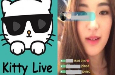 Kitty Live Bidik Pengguna Indonesia