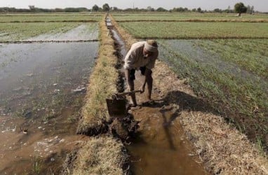 Petani Sejahtera? Ini Kata Kepala BPS