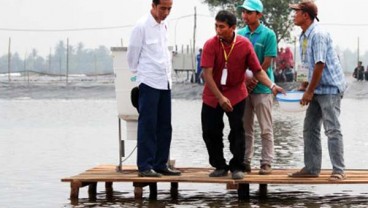 Presiden Serahkan SK Pemanfaatan Hutan Untuk Petani Teluk Jambe