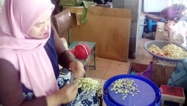 Ronce Melati Mulai Banyak Pesanan