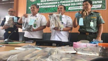 Kaltim Gagalkan Penyelundupan Tulang Beruang Madu ke Vietnam