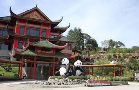 Istana Panda Bernuansa Oriental di Taman Safari