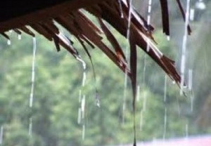 Prakiraan Cuaca: Siang Hari Bandung Hujan Ringan, Malamnya Cerah Berawan