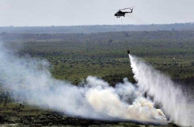 Indonesia Harus Jadi Pusat Pengelolaan Gambut Tropis Dunia