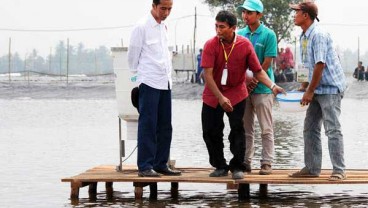 PLN Pasok Listrik untuk Petambak di Muara Gembong